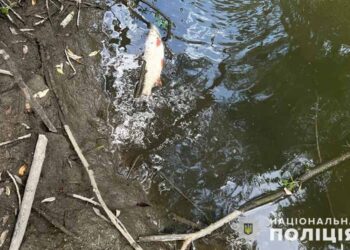 Фото Нацполіції