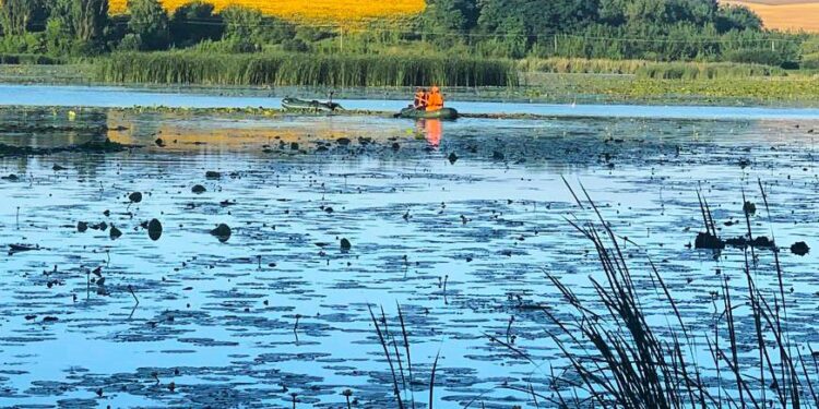 Ставок. Ілюстративне фото