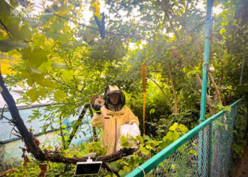 Робота рятувальника ДСНС