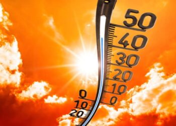 Спека. Ілюстративне зображення