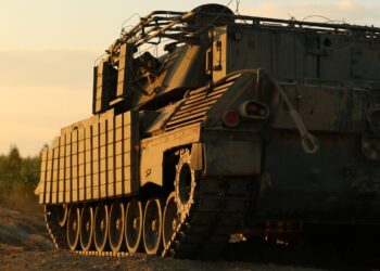 Українські Леопарди