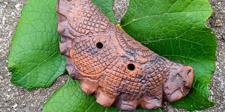 Вареник. Ілюстрація