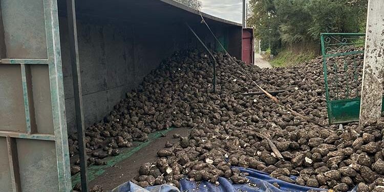 Фото Нацполіції