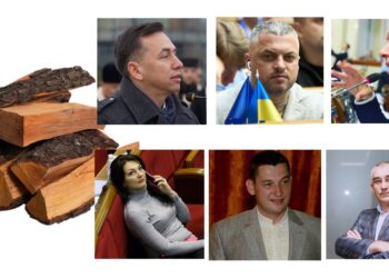 Дрова та тернопільські депутати. Колаж Ровесник