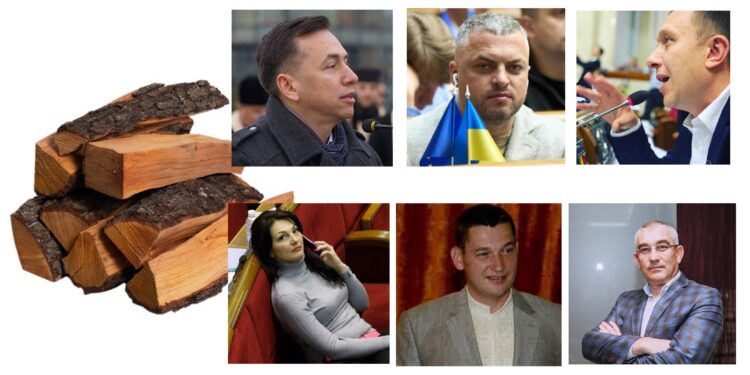 Дрова та тернопільські депутати. Колаж Ровесник