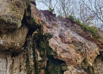 Фото НПП Дністровський каньйон