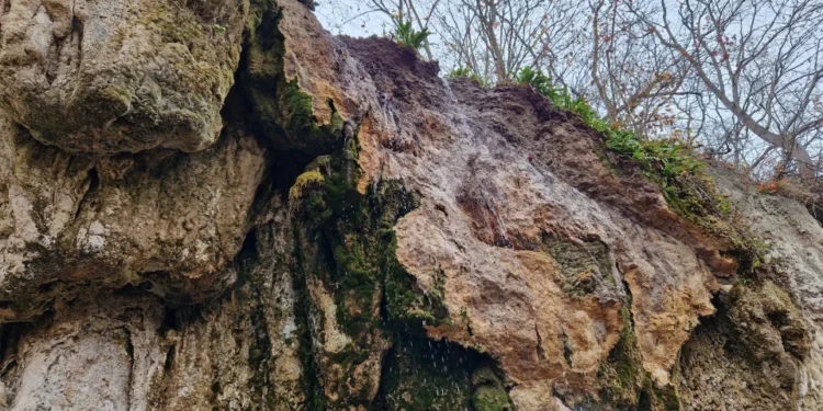 Фото НПП Дністровський каньйон