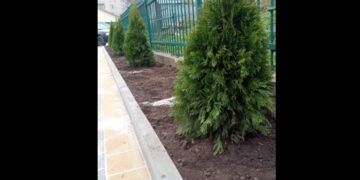 Фото Підгаєцька міськрада