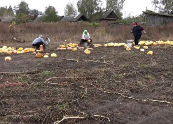 Скрін з відео