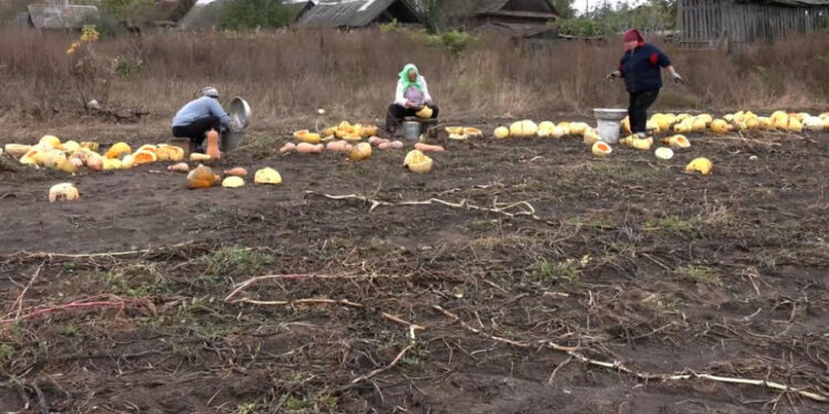 Скрін з відео