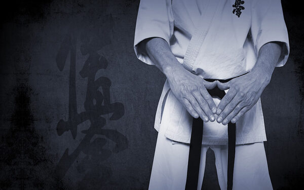 Кіокушин карате. Ілюстрація