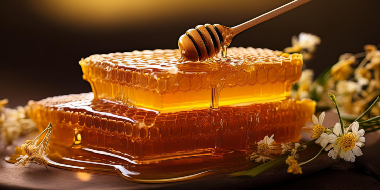 Як обрати якісний мед: секрети натурального продукту від досвідчених пасічників