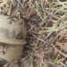 Біля садочка у Тернополі знайшли гранату. Фото Нацполіції