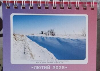 Відзнаку Вікі отримала фоторобота Максима Огородника