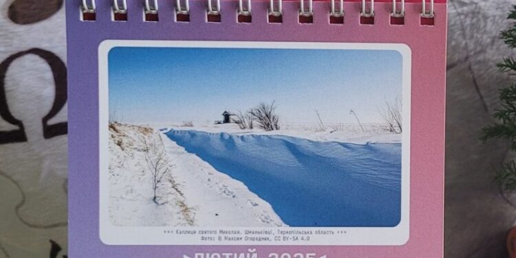 Відзнаку Вікі отримала фоторобота Максима Огородника