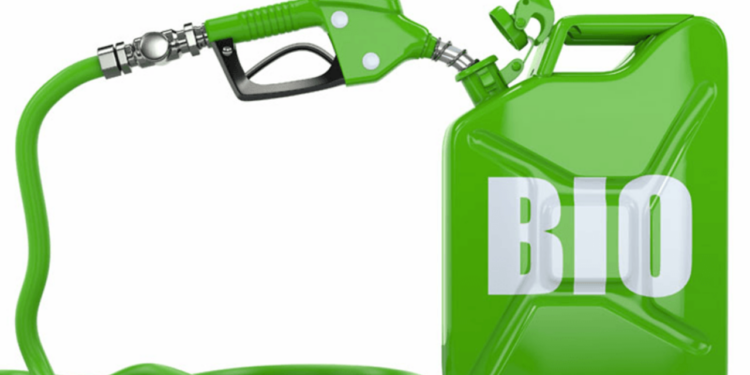 На Тернопільщині вироблятимуть біоетанол та біогаз