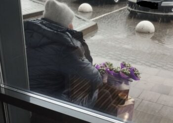 У Тернополі програли сезон червонокнижні первоцвіти