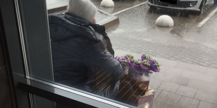 У Тернополі програли сезон червонокнижні первоцвіти