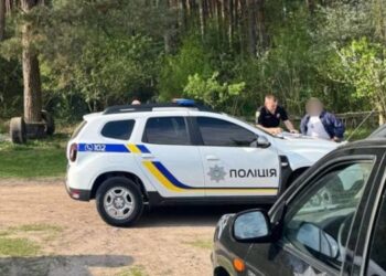 Житель Кременеччини підірвав гранату у лісосмузі