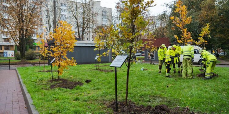 Триває благодійна акція в підтримку ЗСУ