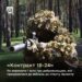Як отримати 1 мільйон гривень добровольцям