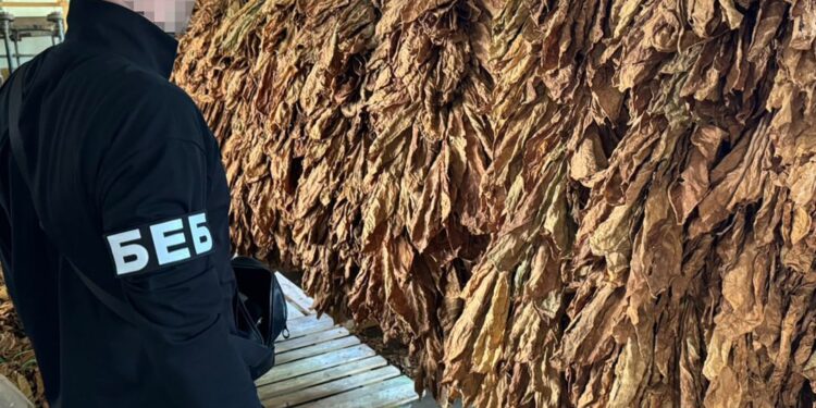 На Тернопільщині викрили нелегальне виробництво тютюну