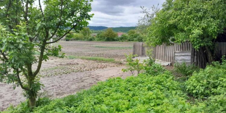 На Чортківщині велика вода наробила біди