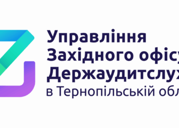 Хто стояв за спиною аудиторів