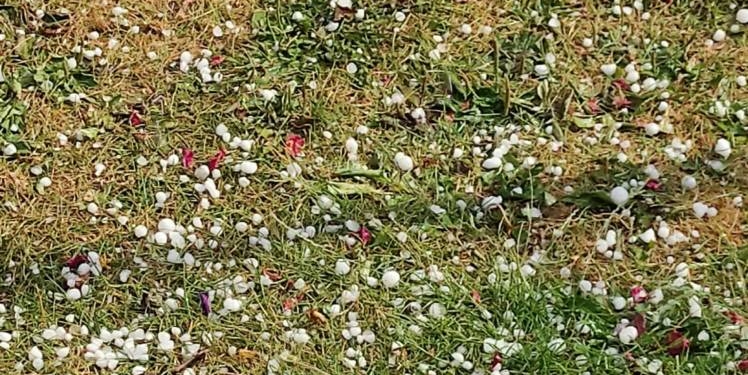 У Монастириській громаді негода наробила біди