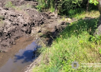 Почистив потічок та потрапив на олівець до поліції
