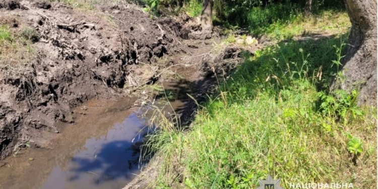 Почистив потічок та потрапив на олівець до поліції