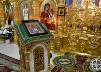 Московські попи не пустили людей із домашніми улюбленцями