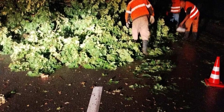 Тернопільські дорожники протистоять негоді