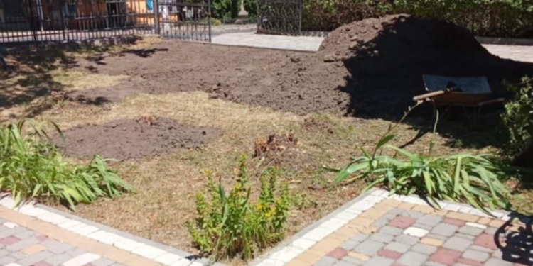 У Чорткові вирубали калинові насадження