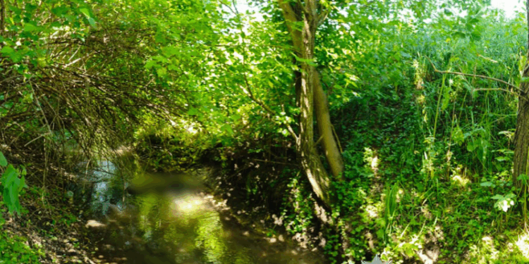 У ріці знайшли мертвим зниклого пенсіонера