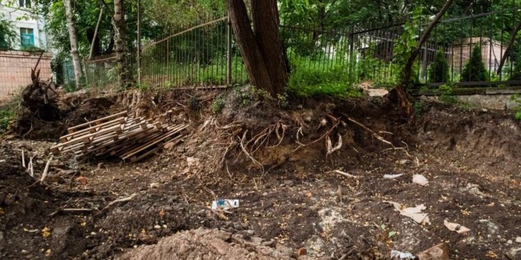 Екоінспекція покарала відомий ресторан за пошкодження дерев