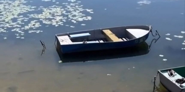 Робота по очистці Тернопільського ставу дала результати