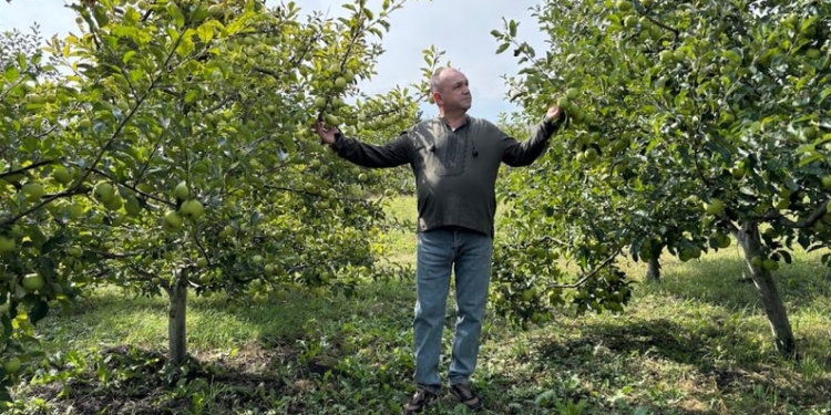 Ветеран з Тернопільщини вирощує яблуневий сад