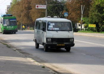 Славнозвісні пижики на дорогах Тернополя