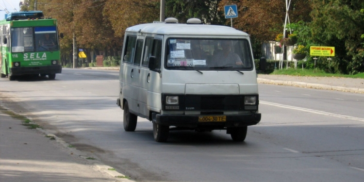 Славнозвісні пижики на дорогах Тернополя
