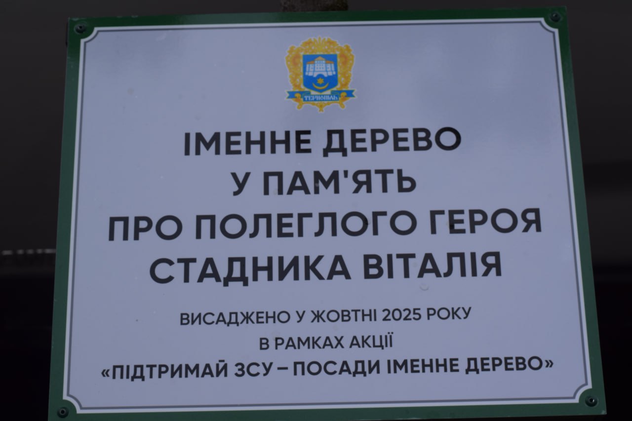 Іменне дерево