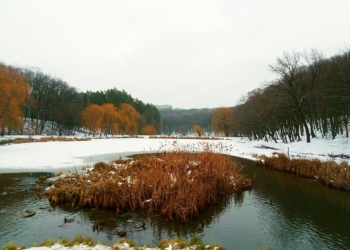 На зимувальних ямах забороняють вилов риби
