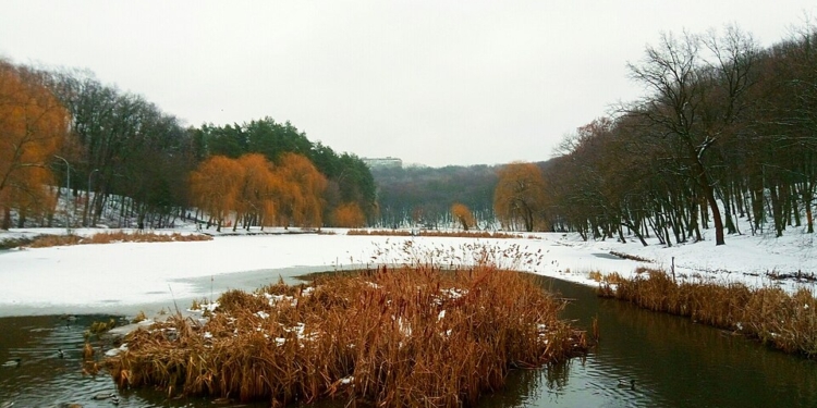 На зимувальних ямах забороняють вилов риби