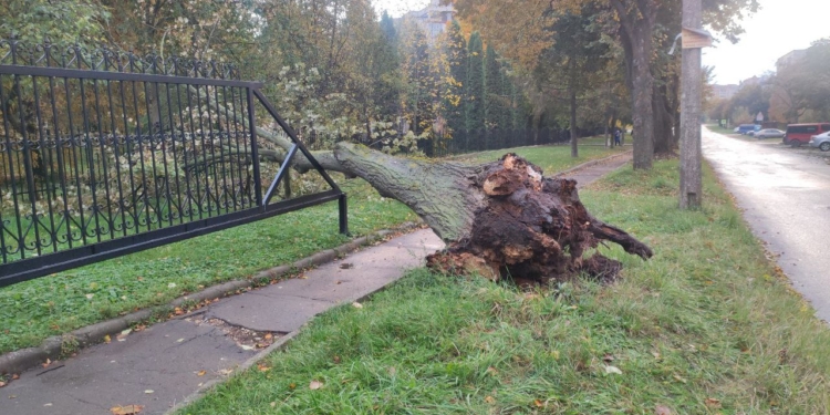 На Тернопіль чекає різке похолодання