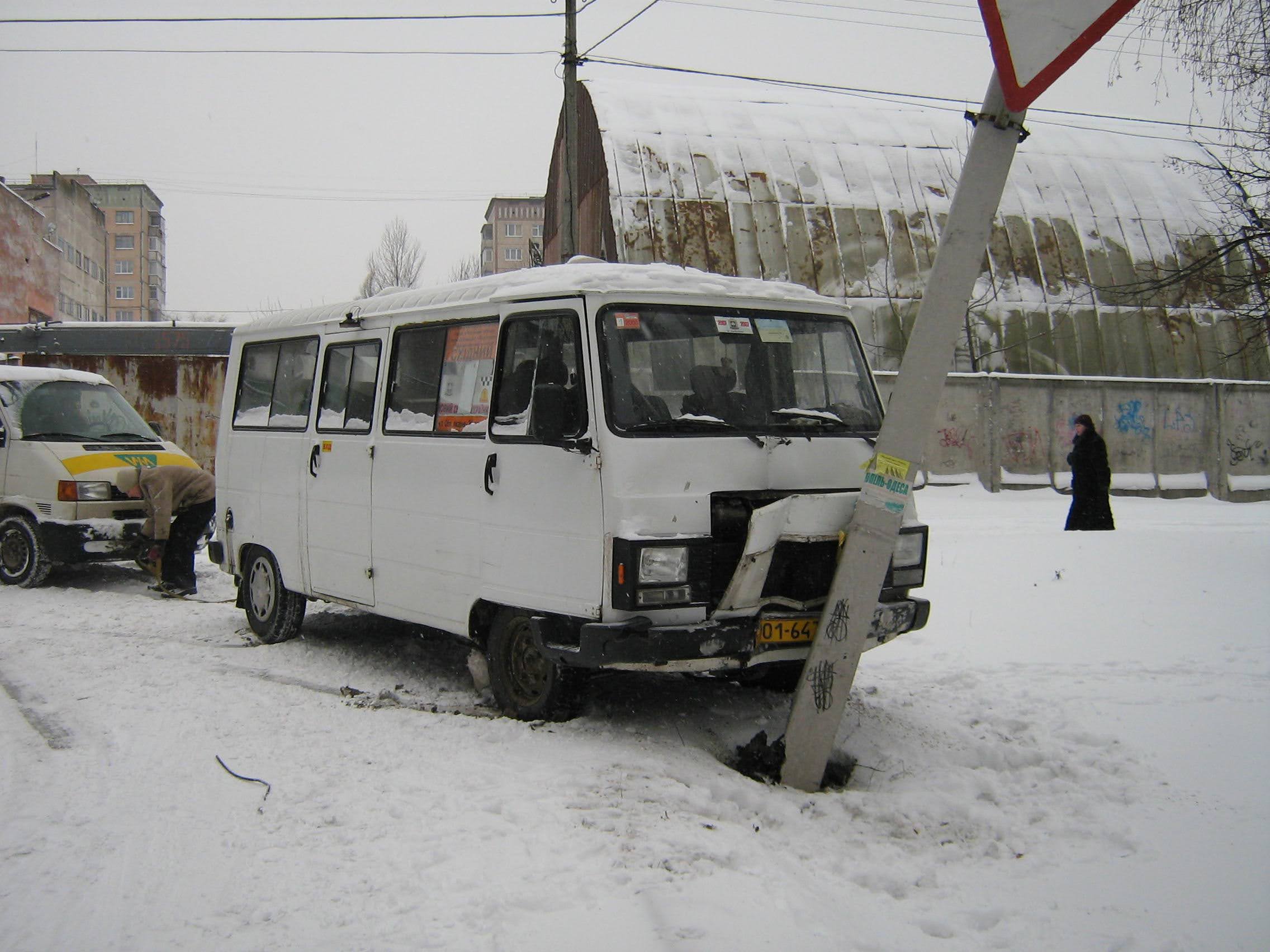 Пижик