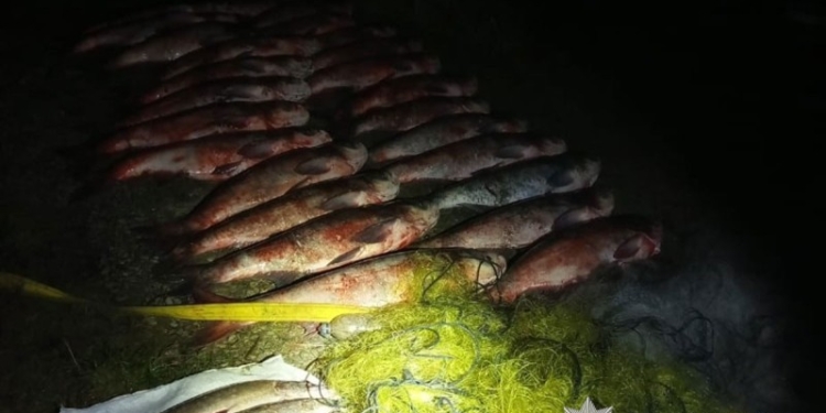 У Байковецькій громаді браконьєри ловили рибу сітками