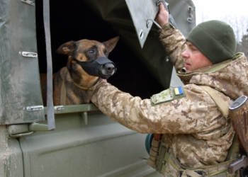 Історія прикордонника та його вівчарки Мамби