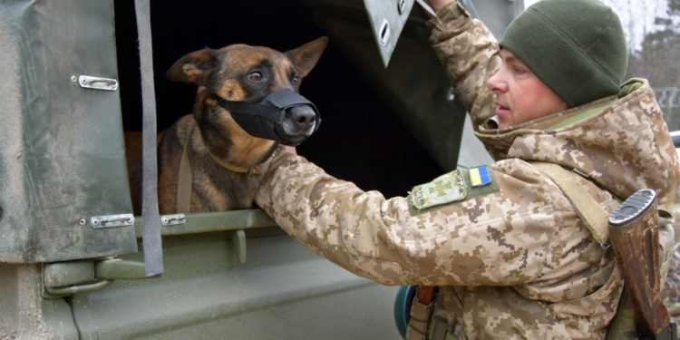 Історія прикордонника та його вівчарки Мамби