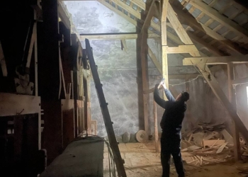 У Лошневі створюють унікальний музейно-культурний простір