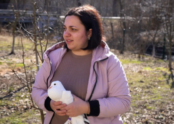 Родина Гарап’яків відроджує культуру голубівництва